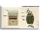 cuadro comparativo